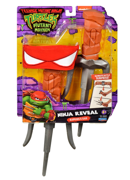 Teenage Mutant Ninja Turtles Costume Set (Raphael)